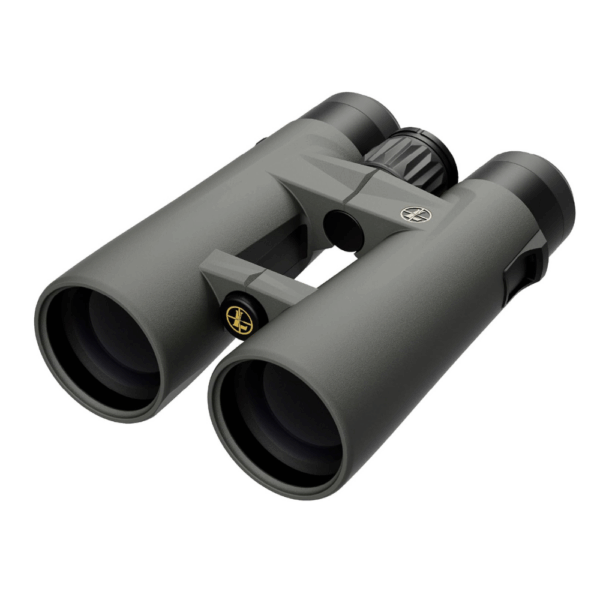 Leupold BX-4 Pro Guide HD Binoculars
