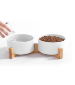 Cat Ceramic Bowls
