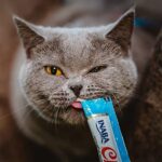 INABA Churu Cat Treats, Grain-Free, Squeezable Creamy Pure Topper with Vitamin E & Taurine, 0.5 Ounces Each Tube - Image 5