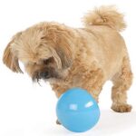 Planet Dog Orbee-Tuff Snoop Interactive Treat Dispensing Dog Toy, Large, Blue - Image 5