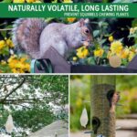 SUAVEC Squirrel Repellent Outdoor, for Garden - Image 3