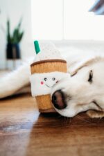 Plush Squeaky Summer Dog Toys - Image 4