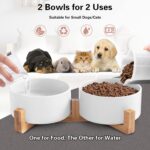 Cat Ceramic Bowls - Image 2